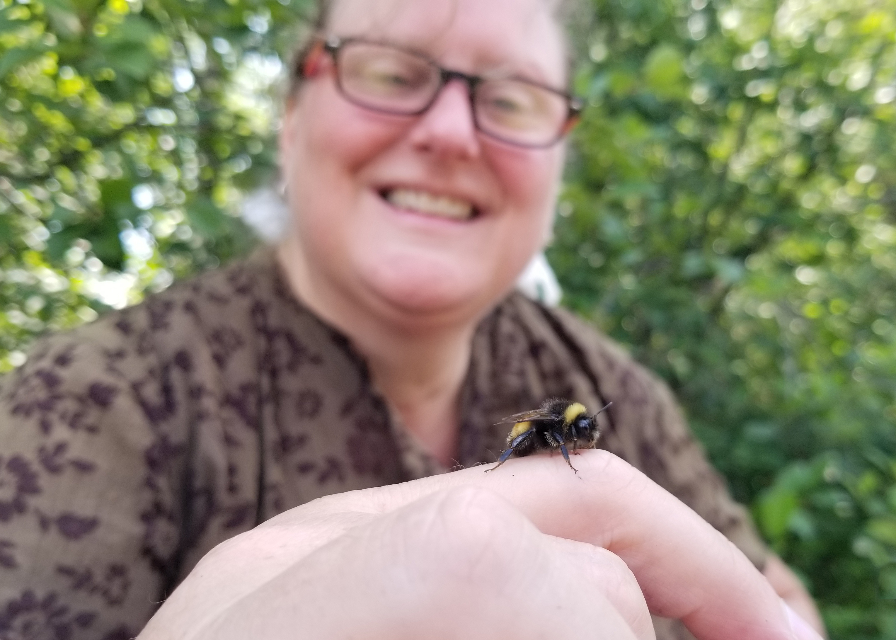 Ann Puddicombe, a Bumble Bee Watch Star | Xerces Society